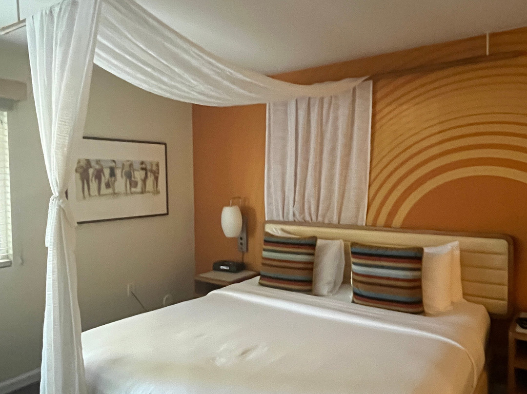 杰德威尔野棕榈酒店主图