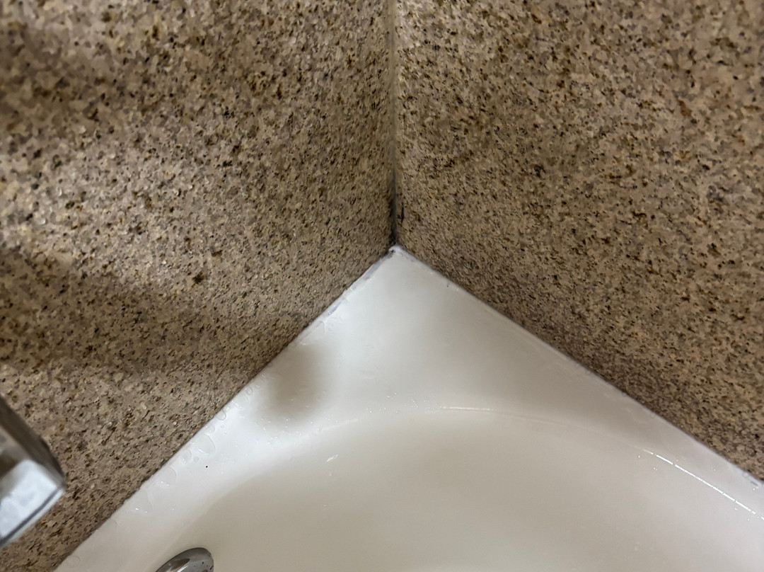 Best Western Cedar Inn主图