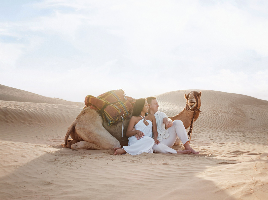The Camel Farm-迪拜必去景点