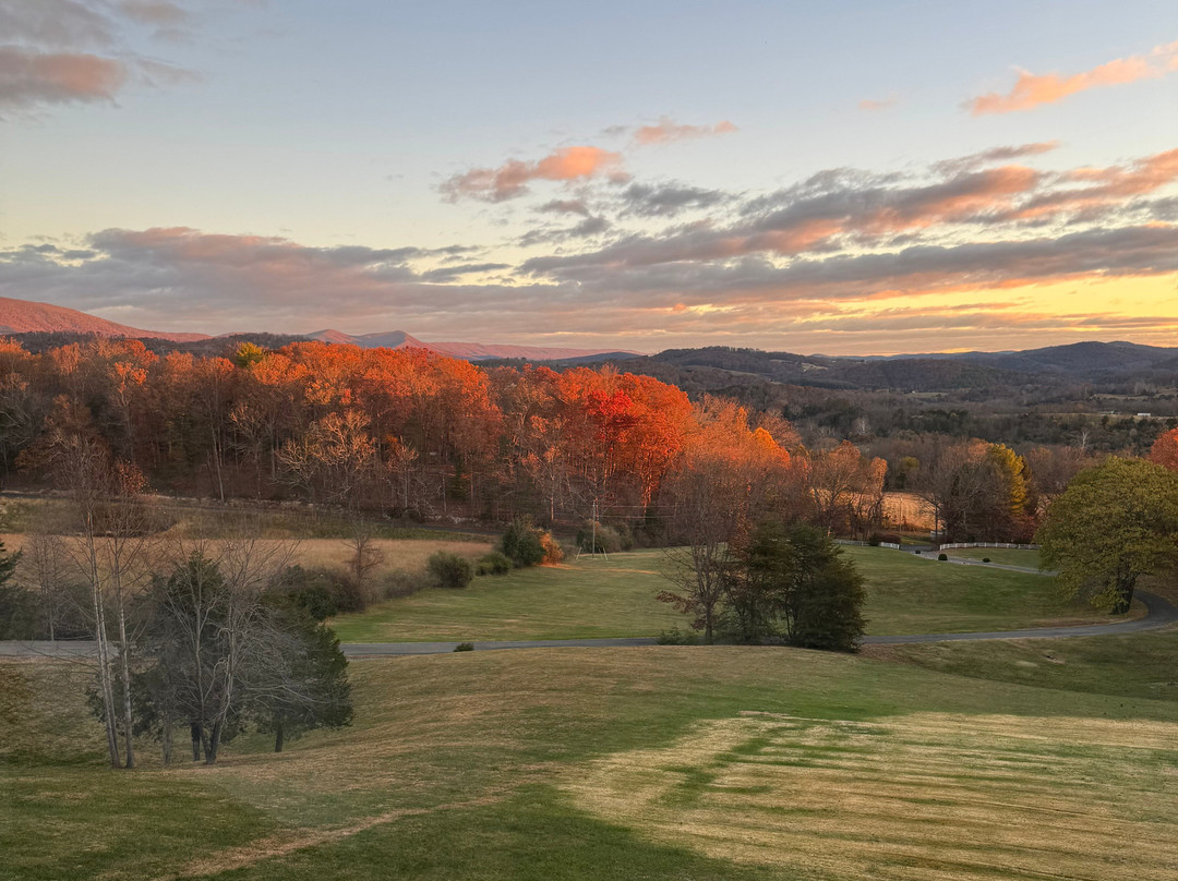 Inn At Brierley Hill主图