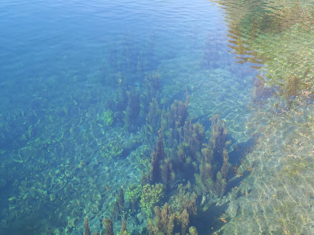 Lago di Posta Fibreno-Posta Fibreno必去景点