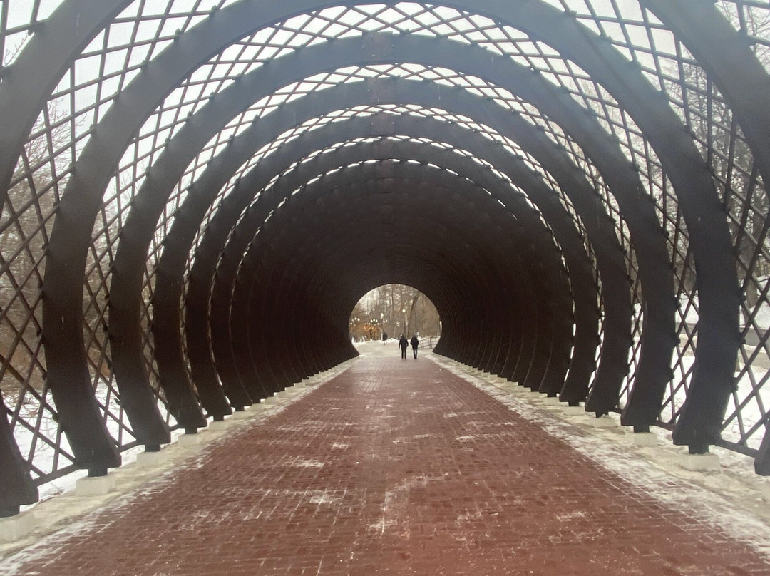 Pushkinskiy / Andreyevskiy  Bridge-莫斯科必去景点
