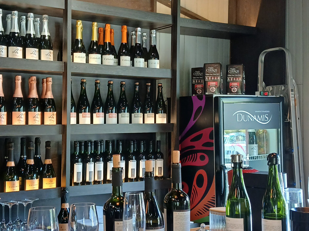 Loja - Dunamis Vinhos & Vinhedos-格拉玛多必去景点