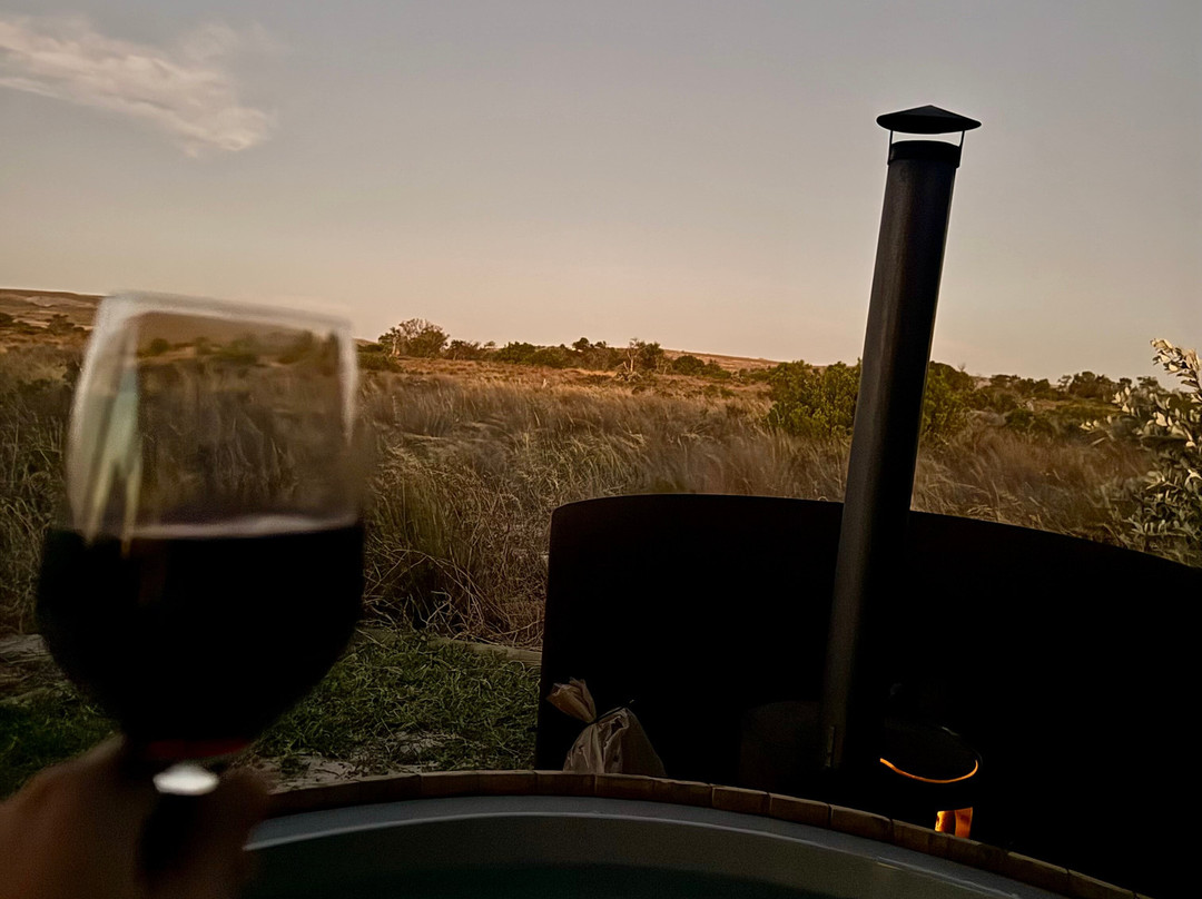 !Khwa ttu-Yzerfontein必去景点