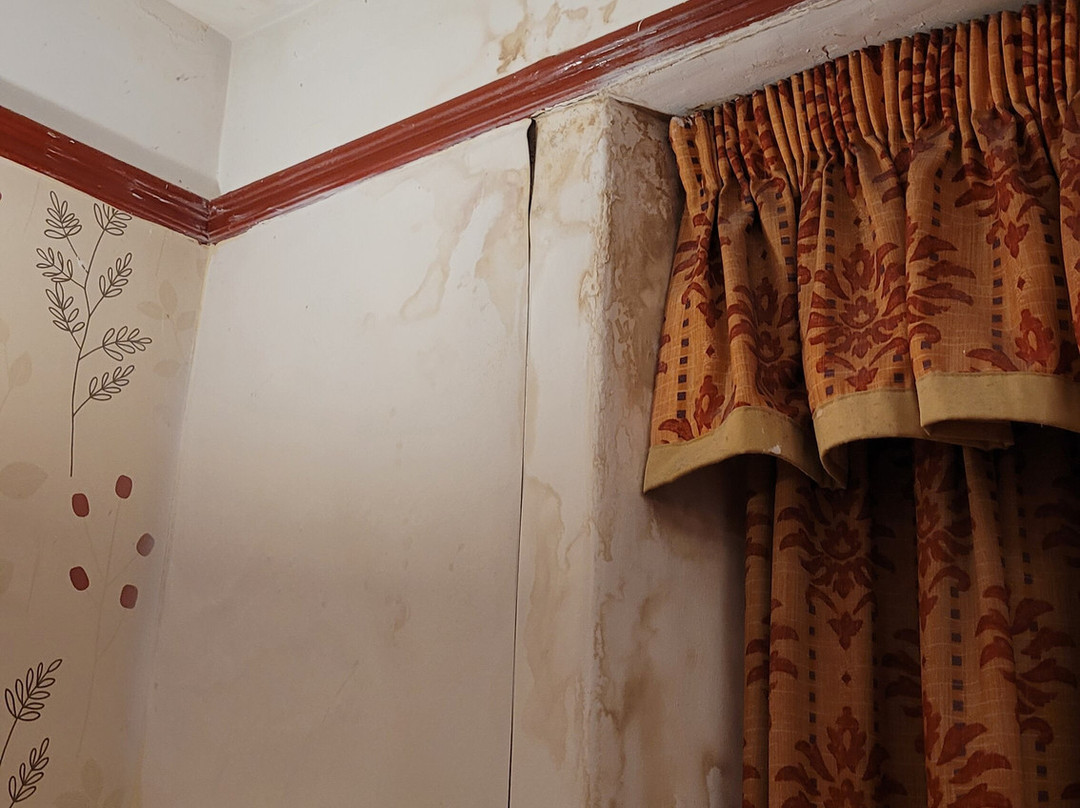 The Radstock Hotel主图