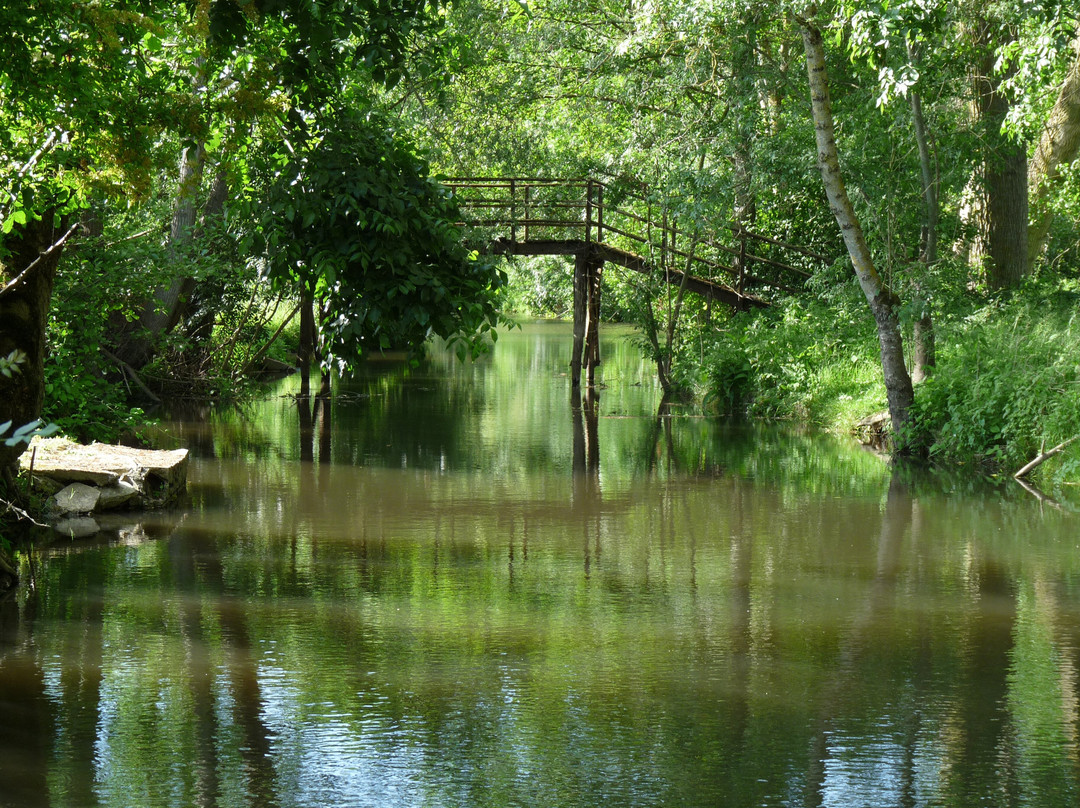 L'Oiseau du Marais主图