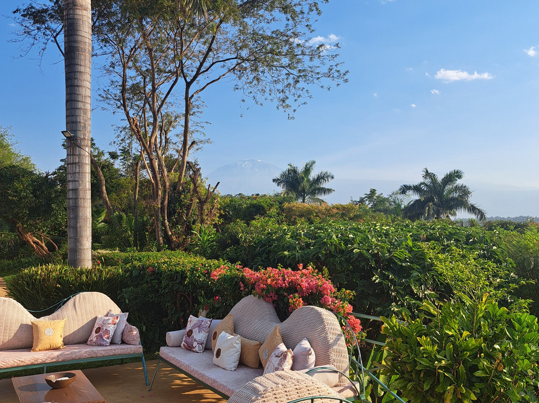 Pink Flamingo Boutique Hotel主图