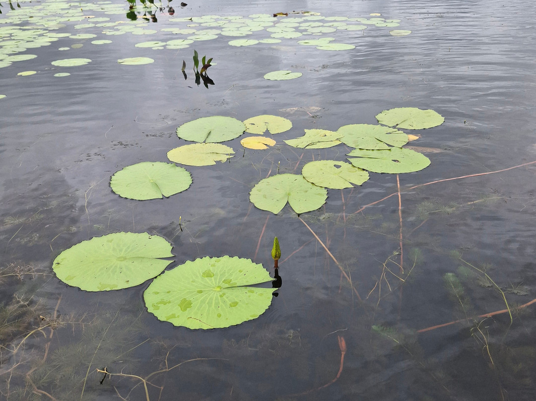 Fazenda Marimbus-迪亚曼蒂那国家公园必去景点