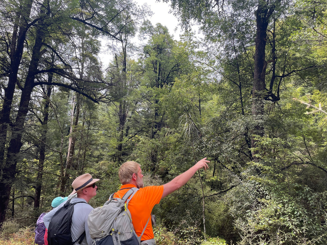 The Natural Flames Experience - Day Tours-Murchison必去景点