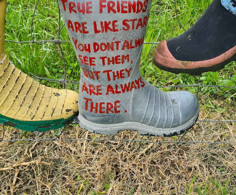 Awakeri Rail Adventures-法卡塔尼必去景点