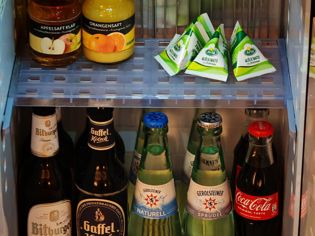 恩斯特·艾玛·多姆伊克赛尔瑟酒店主图