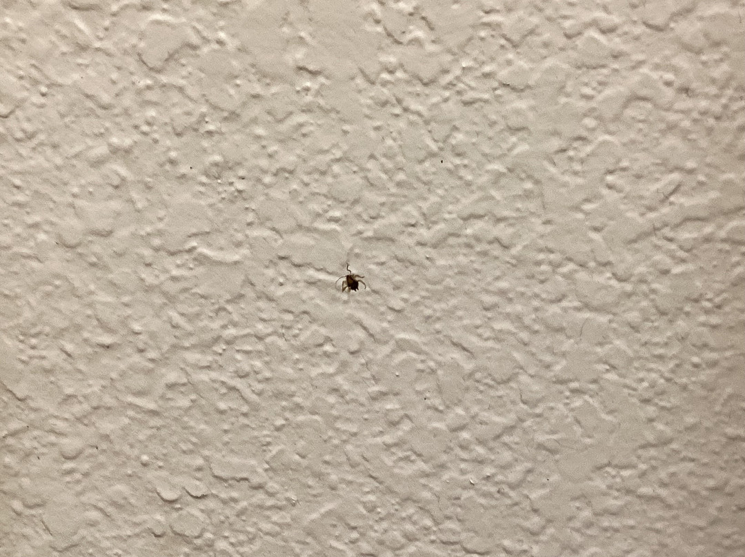 Baymont by Wyndham Ridgeland I-95主图