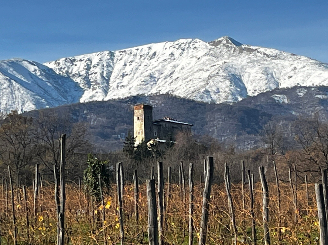 Agriturismo Famiglia Al Castello di Bagnolo