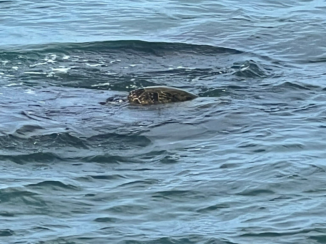 Hanakao'o Beach Park-拉海纳必去景点