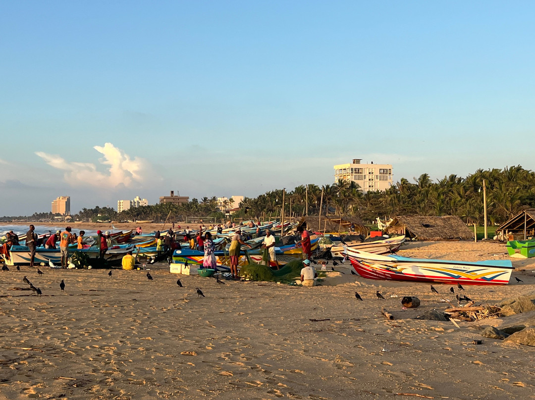 BH Lanka Tours-Kurunegala必去景点