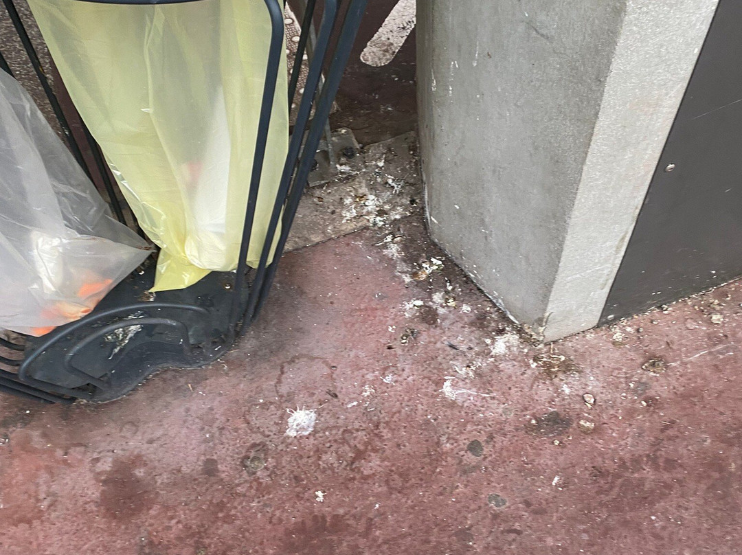 Gare de Metz-Ville-梅斯必去景点