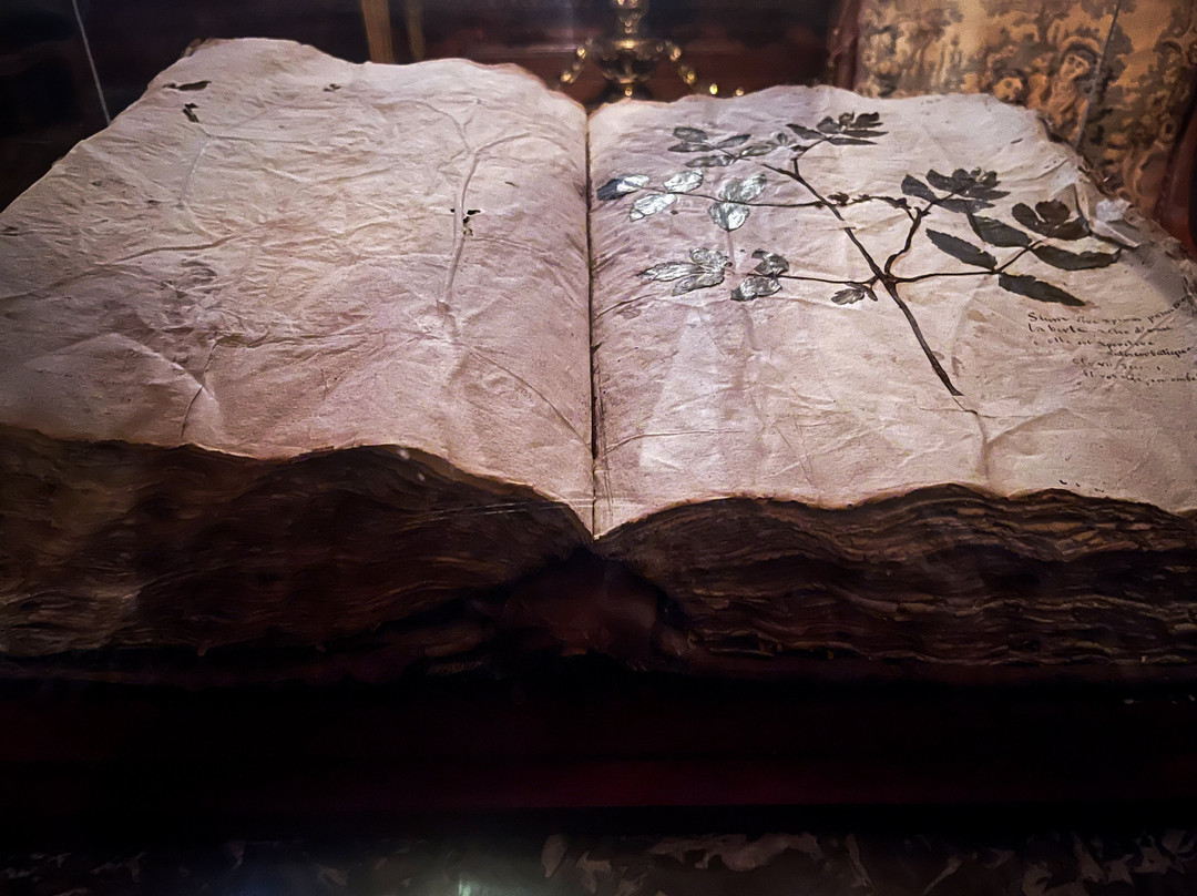 Hôtel-Dieu de Lons-le-Saunier-隆勒索涅必去景点