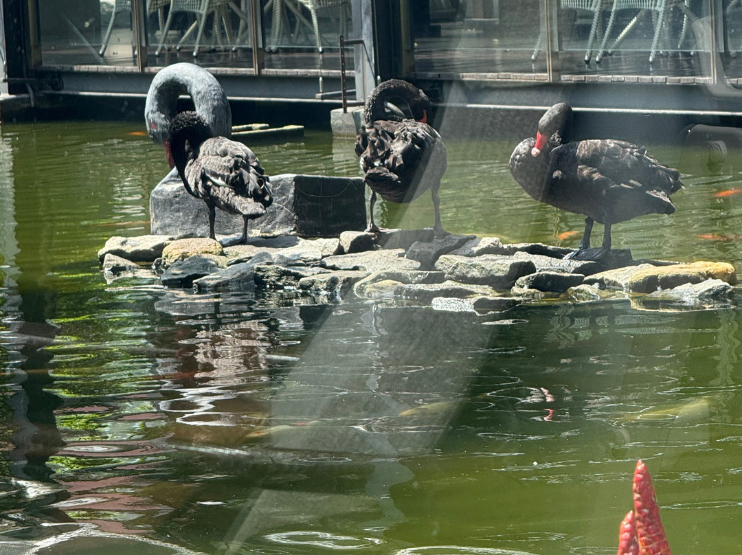 My Vacation at Lanka-Ratmalana必去景点