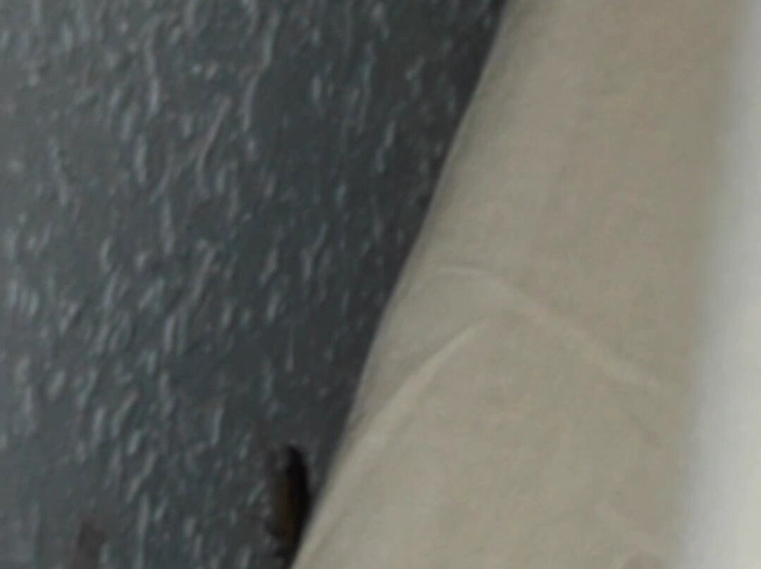 Comfort Inn & Suites Lumberton Central I-95主图