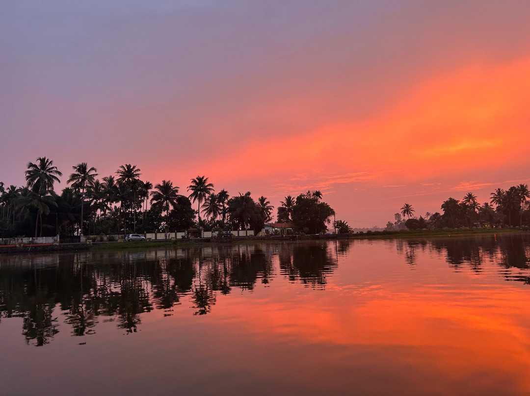 Kurialacherry House主图