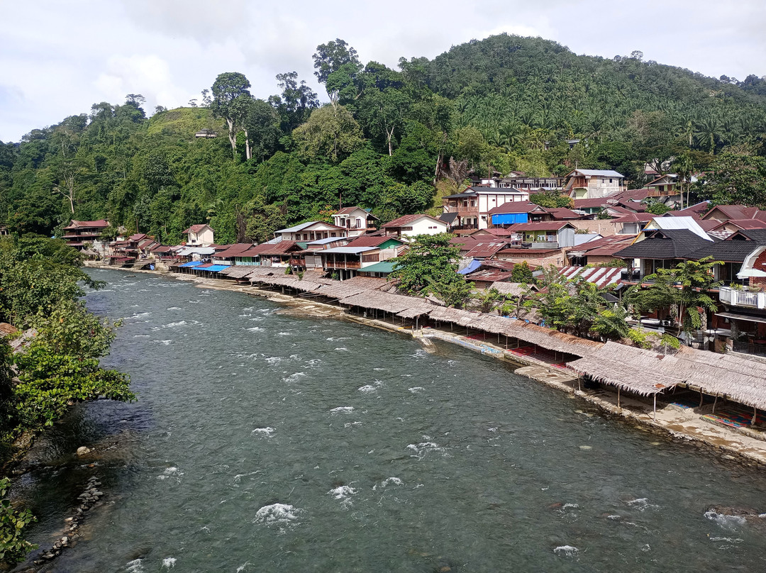 Explore Sumatra Orangutan-武吉拉旺必去景点