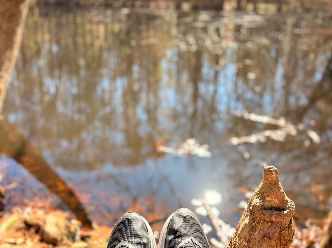 Congaree National Park-Hopkins必去景点