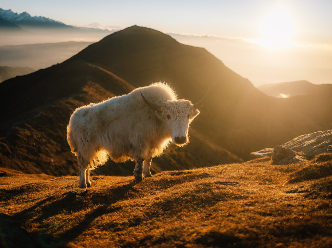 Three Jewels Adventures-加德满都必去景点