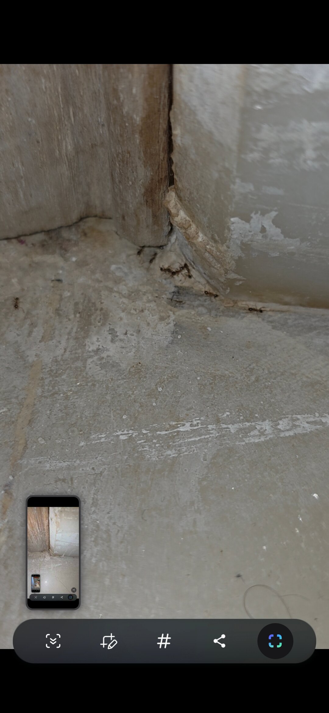 The White Palace Rabat-官方