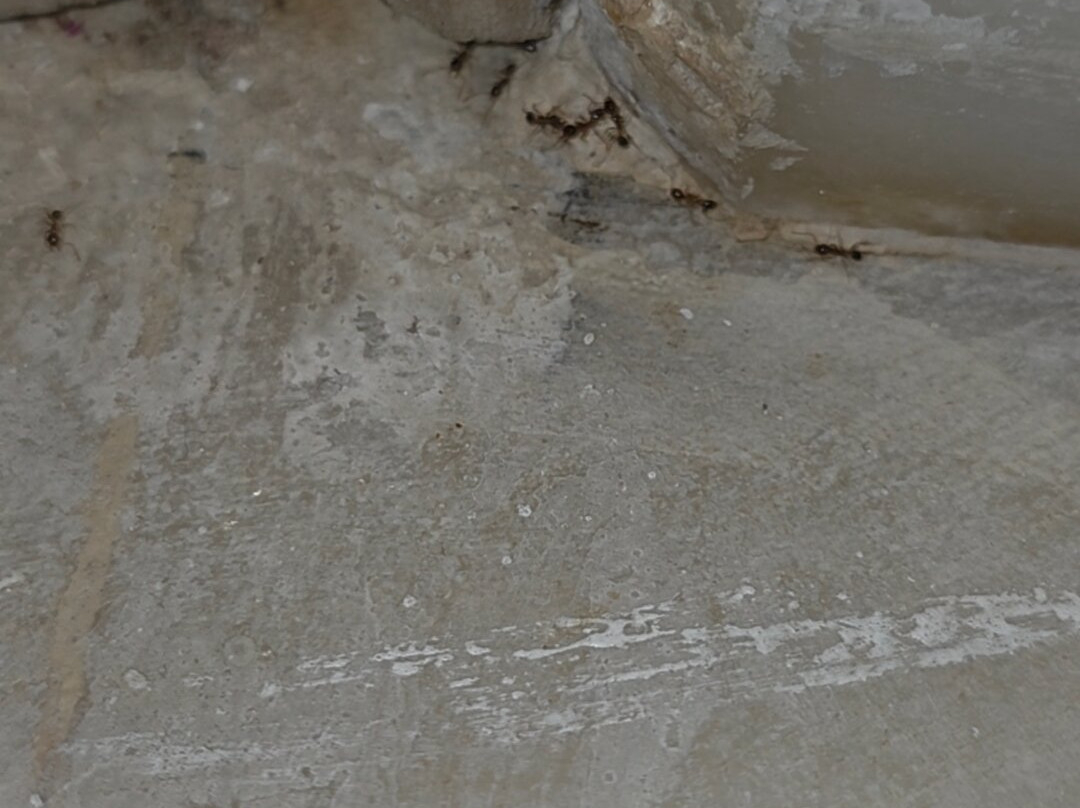 The White Palace Rabat主图