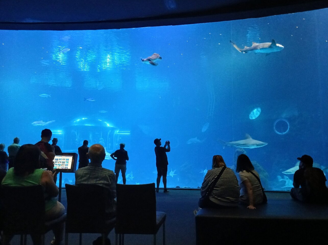 Poema Del Mar-大加那利岛拉斯帕尔马斯必去景点