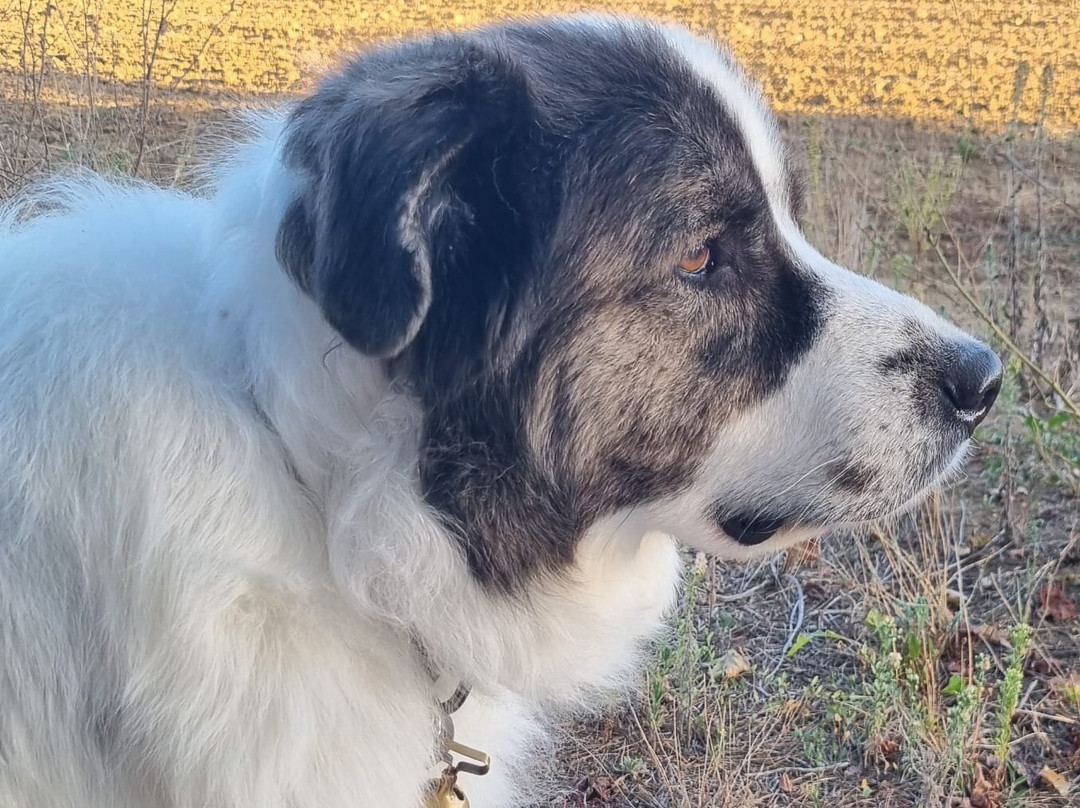 Mas de l'Ermitage主图