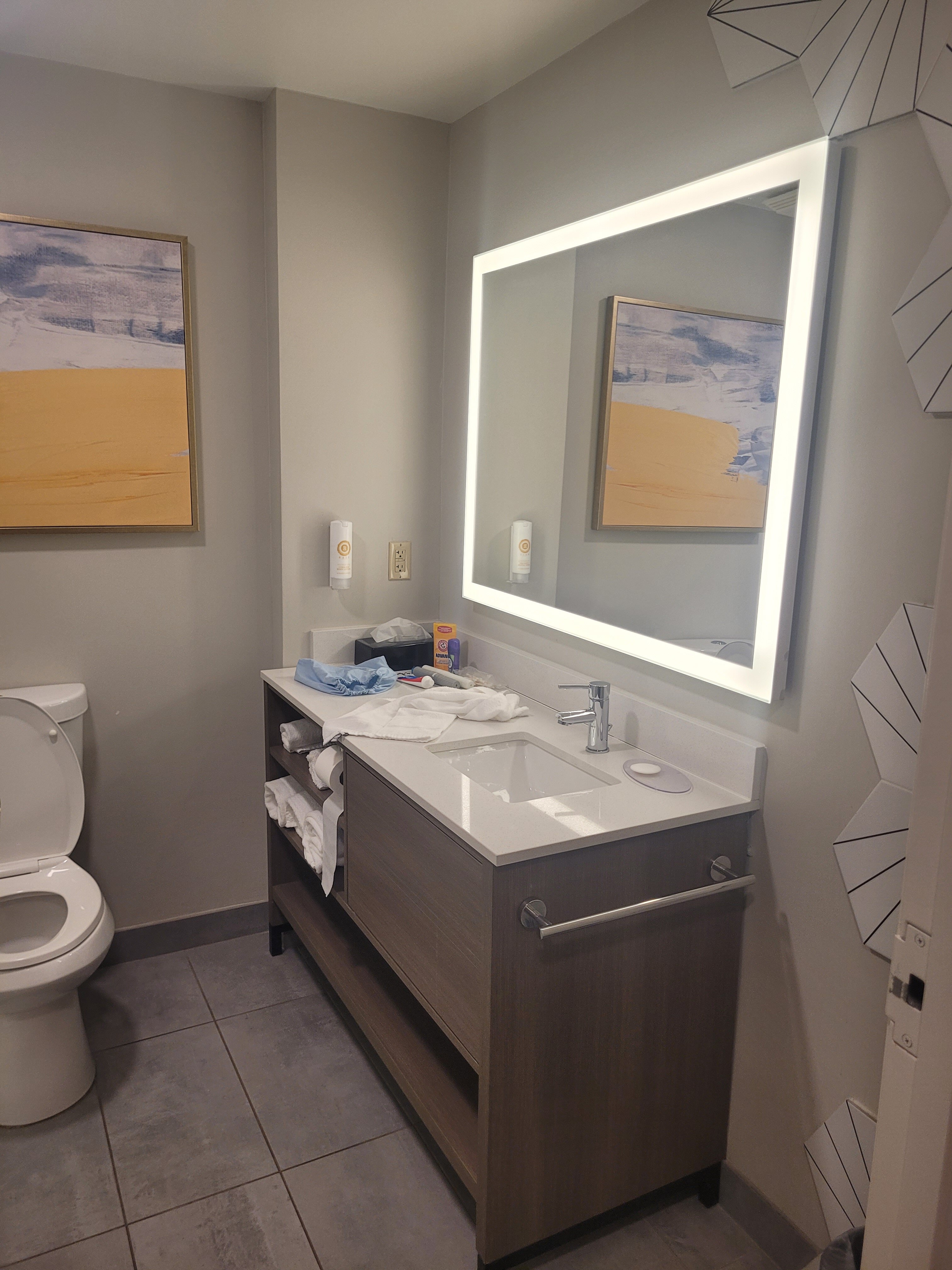 Comfort Inn & Suites Ashland - Richmond North-浴室