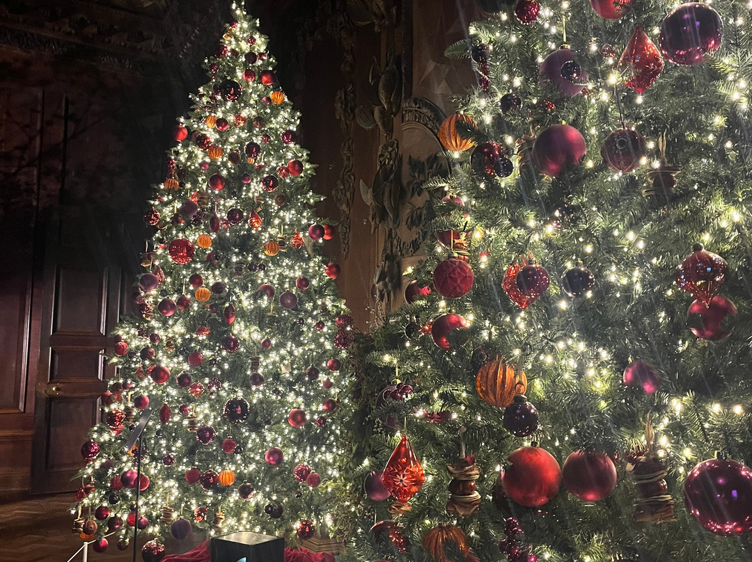 Smile Adventures-曼彻斯特必去景点