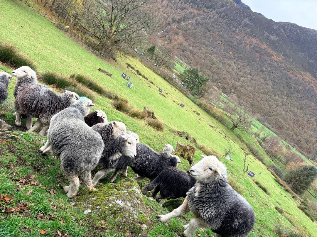 Cragg House Farm-Buttermere必去景点