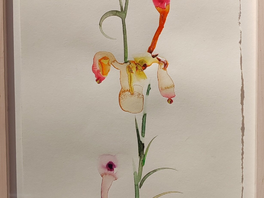 Museum Flehite-阿默斯福特必去景点