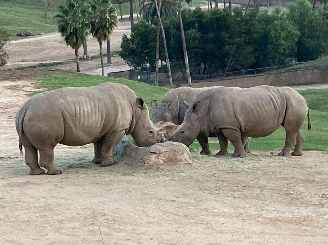 圣地亚哥野生动物公园-埃斯孔迪多必去景点