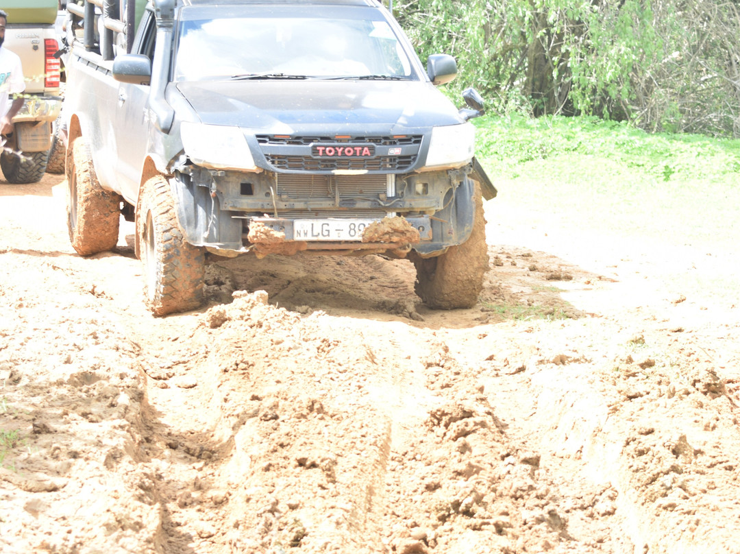 Gesha Tours Sri Lanka-Panadura必去景点