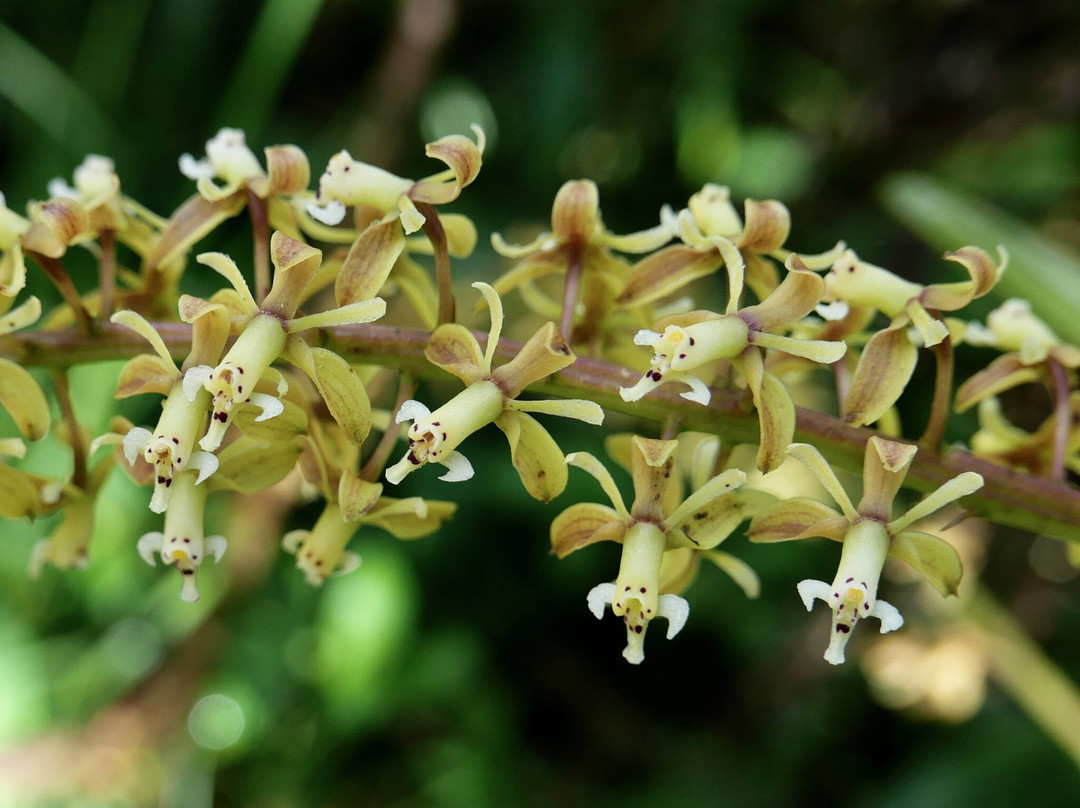 Jaguarundi Travel-波哥大必去景点