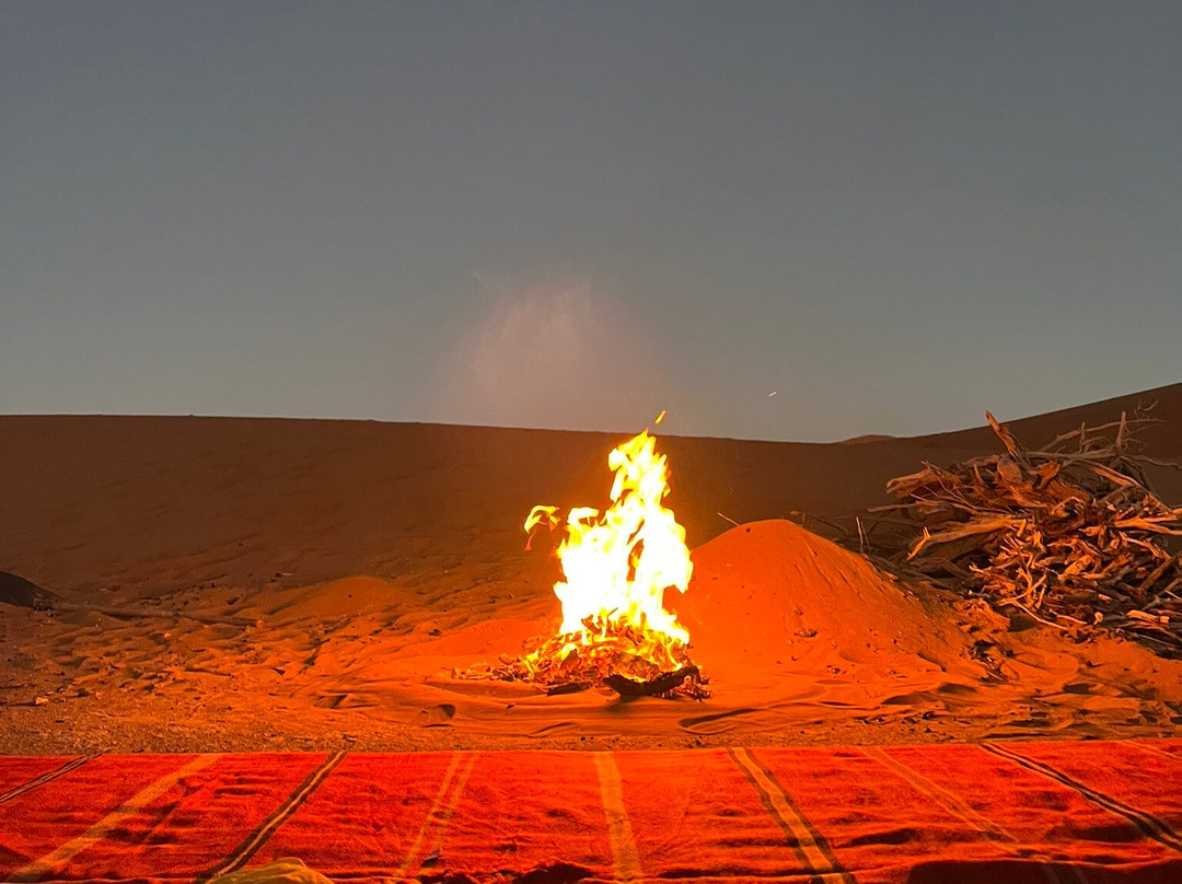 Racines du Désert-迈哈米德必去景点