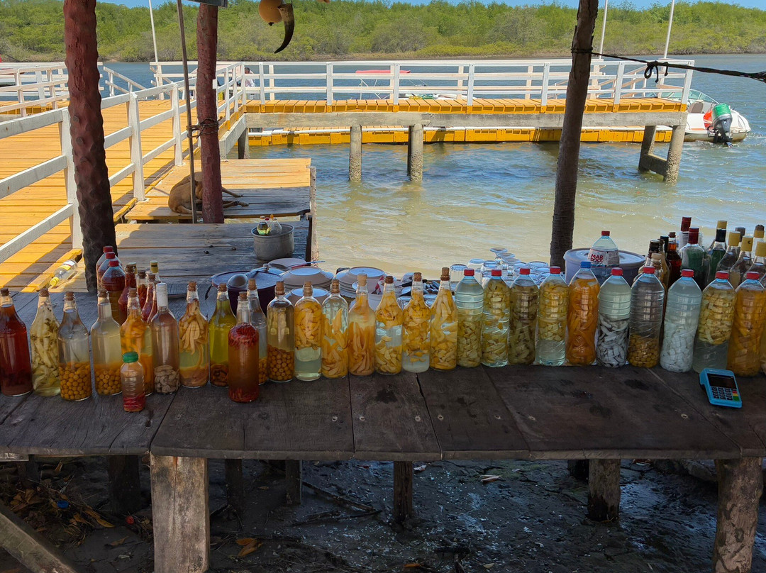 Rio Preguicas-巴雷里尼亚斯必去景点