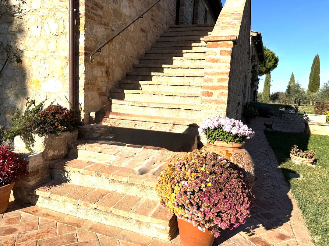 Agriturismo Sole主图