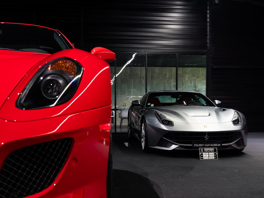 Coligny Car Museum-Coligny必去景点