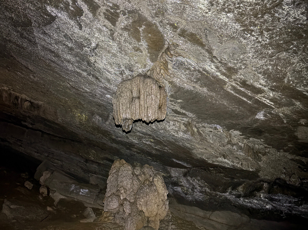 Worley's Cave-Bluff City必去景点