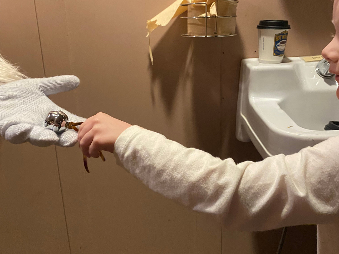 The Chehalis Centralia Railroad & Museum-Chehalis必去景点