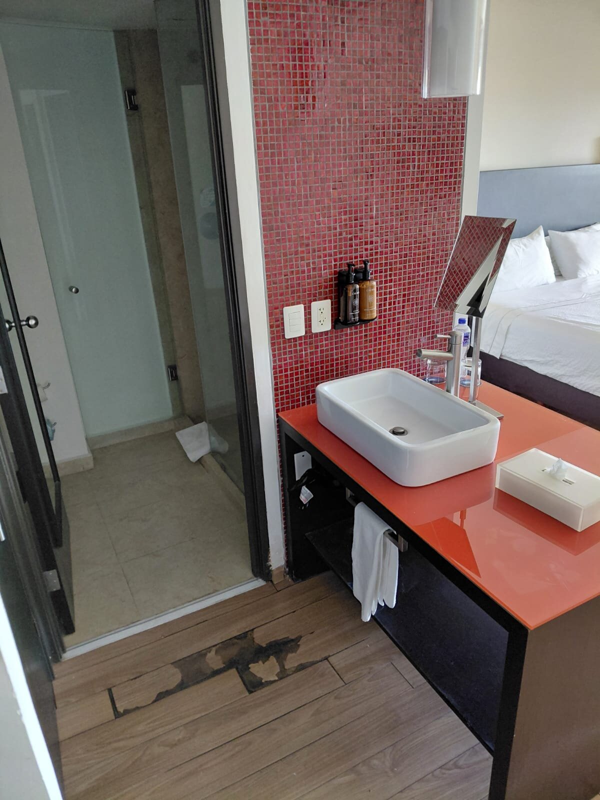 Fiesta Inn Culiacan-客卧