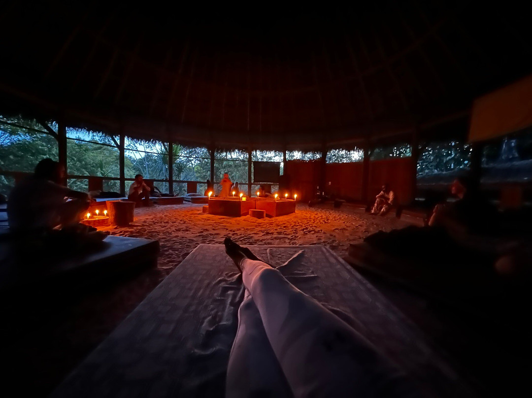 Psychonauta Foundation-伊基托斯必去景点