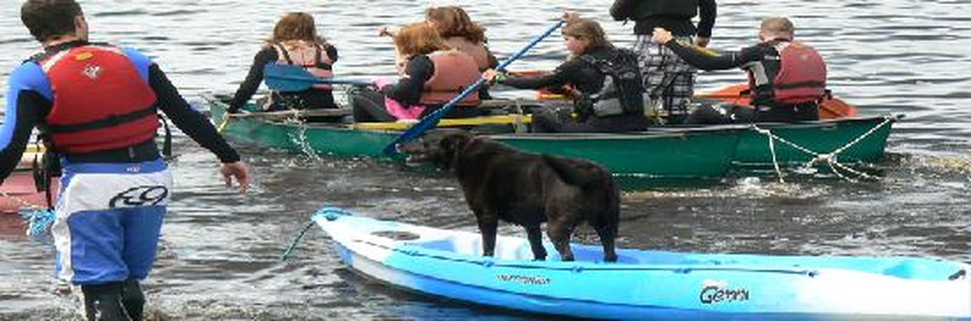 DawnMeadow Bed & Breakfast主图