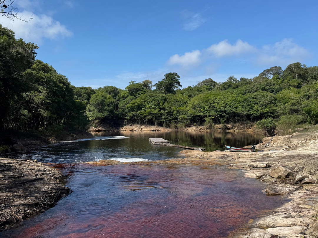 Amazon Rambo Jungle Tours-玛瑙斯必去景点