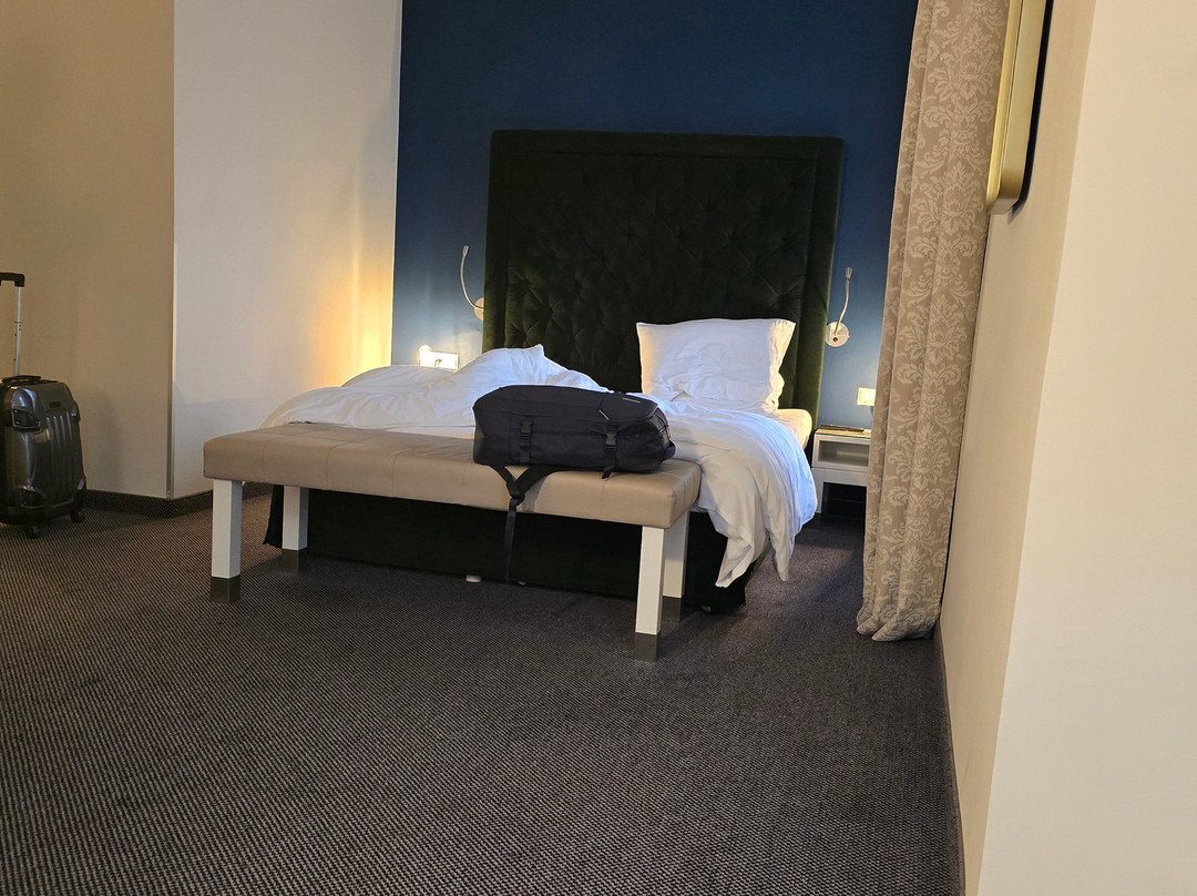 卡尔顿别墅酒店主图