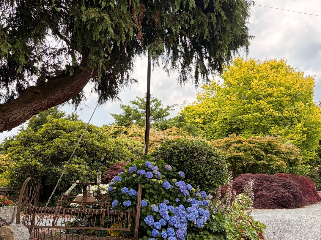 Forgotten World Adventures-Taumarunui必去景点